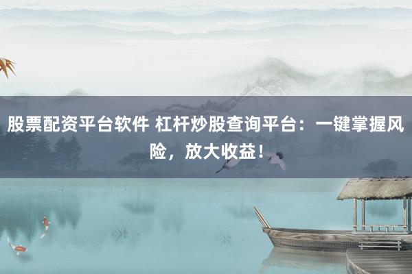 股票配资平台软件 杠杆炒股查询平台：一键掌握风险，放大收益！