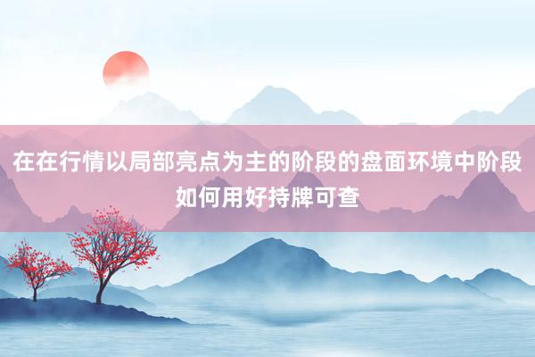 在在行情以局部亮点为主的阶段的盘面环境中阶段如何用好持牌可查