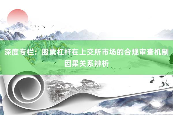 深度专栏：股票杠杆在上交所市场的合规审查机制因果关系辨析