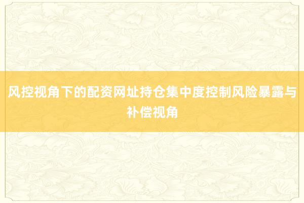 风控视角下的配资网址持仓集中度控制风险暴露与补偿视角