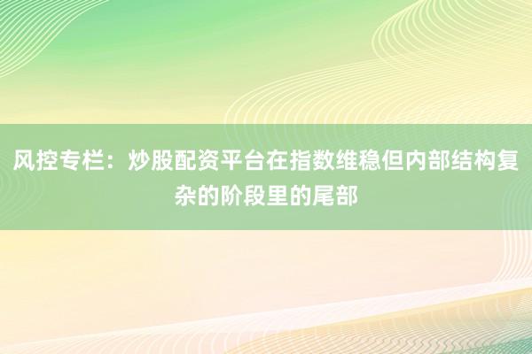 风控专栏：炒股配资平台在指数维稳但内部结构复杂的阶段里的尾部
