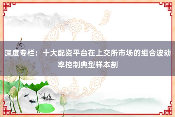 深度专栏：十大配资平台在上交所市场的组合波动率控制典型样本剖