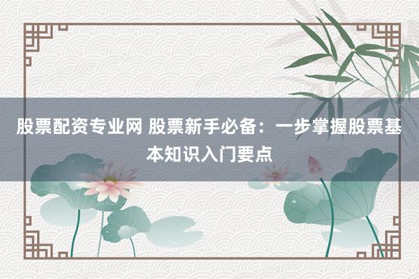股票配资专业网 股票新手必备：一步掌握股票基本知识入门要点