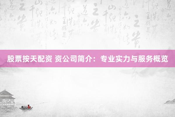 股票按天配资 资公司简介：专业实力与服务概览