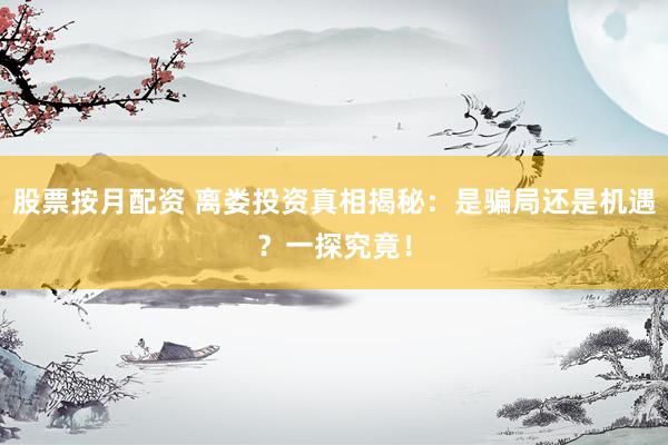 股票按月配资 离娄投资真相揭秘：是骗局还是机遇？一探究竟！