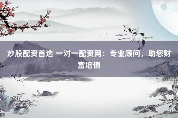 炒股配资首选 一对一配资网：专业顾问，助您财富增值